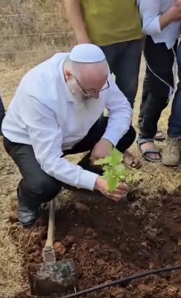 שחרית_והלל2.jpg